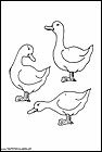 dibujos-de-patos-08.gif