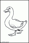 dibujos-de-patos-10.gif