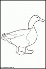 dibujos-de-patos-33.gif