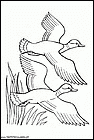 dibujos-de-patos-70.gif