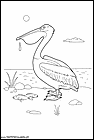dibujos-de-pelicanos-04.gif