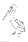 dibujos-de-pelicanos-06.gif