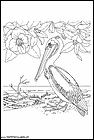 dibujos-de-pelicanos-07.gif