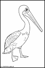 dibujos-de-pelicanos-11.gif