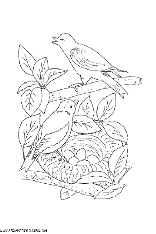 dibujos-de-pajaros-06.gif