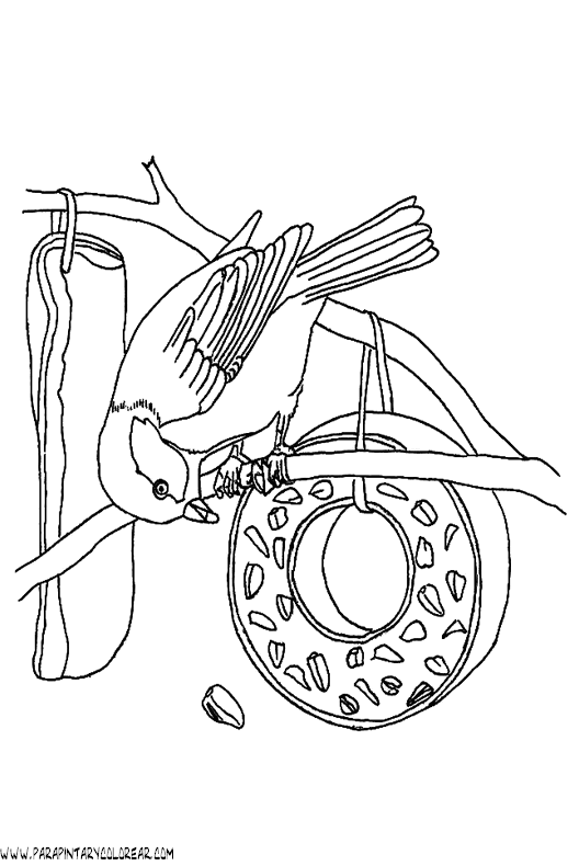 dibujos-de-pajaros-101.gif