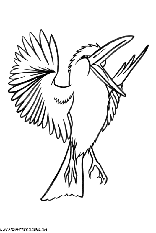 dibujos-de-pajaros-107.gif