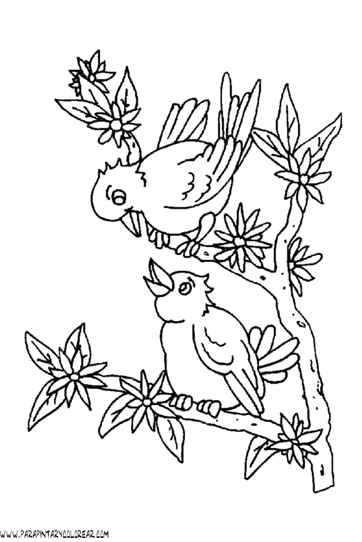 dibujos-de-pajaros-128.gif