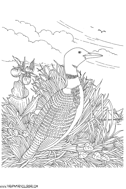 dibujos-de-pajaros-151.gif