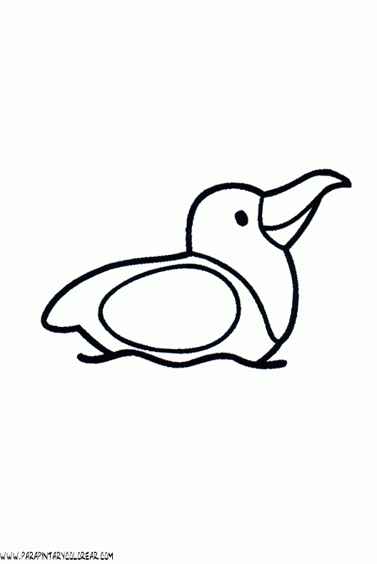 dibujos-de-pajaros-165.gif