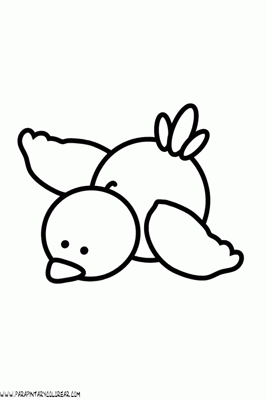dibujos-de-pajaros-171.gif