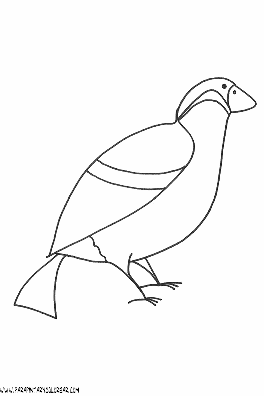 dibujos-de-pajaros-30.gif