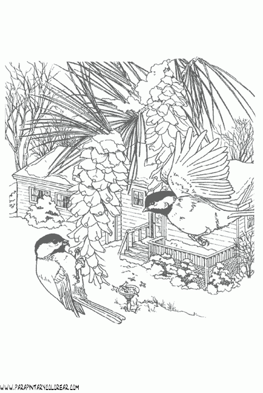 dibujos-de-pajaros-39.gif