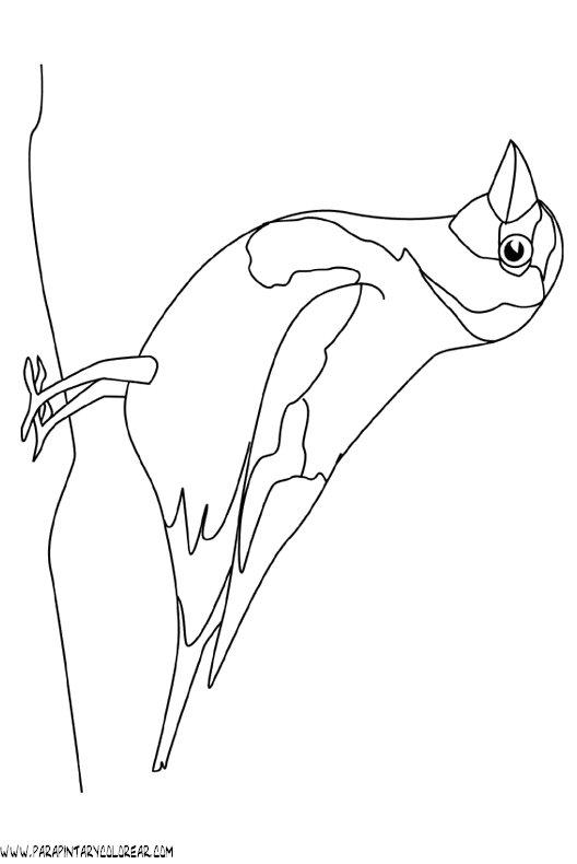 dibujos-de-pajaros-48.gif
