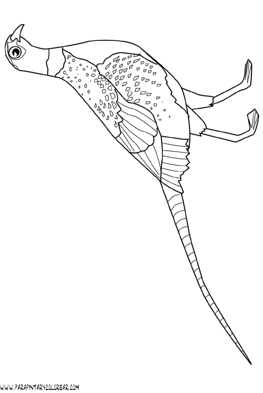 dibujos-de-pajaros-52.gif