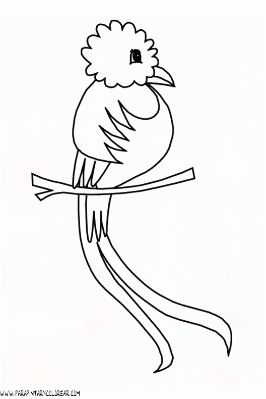 dibujos-de-pajaros-63.gif
