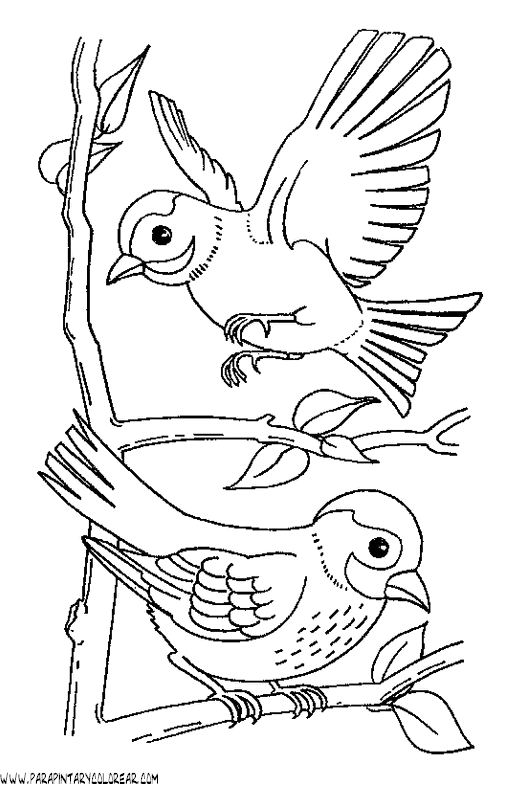 dibujos-de-pajaros-68.gif