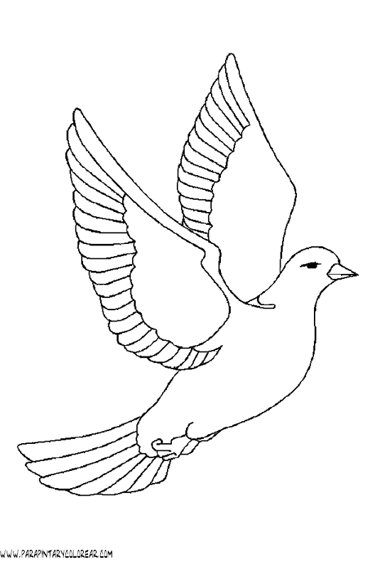 dibujos-de-pajaros-84.gif