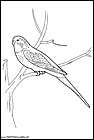 dibujos-de-pajaros-135.gif