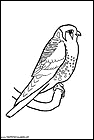 dibujos-de-pajaros-17.gif