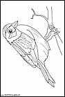 dibujos-de-pajaros-51.gif