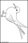 dibujos-de-pajaros-53.gif