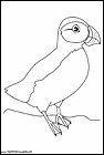 dibujos-de-pajaros-56.gif