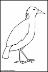 dibujos-de-pajaros-95.gif