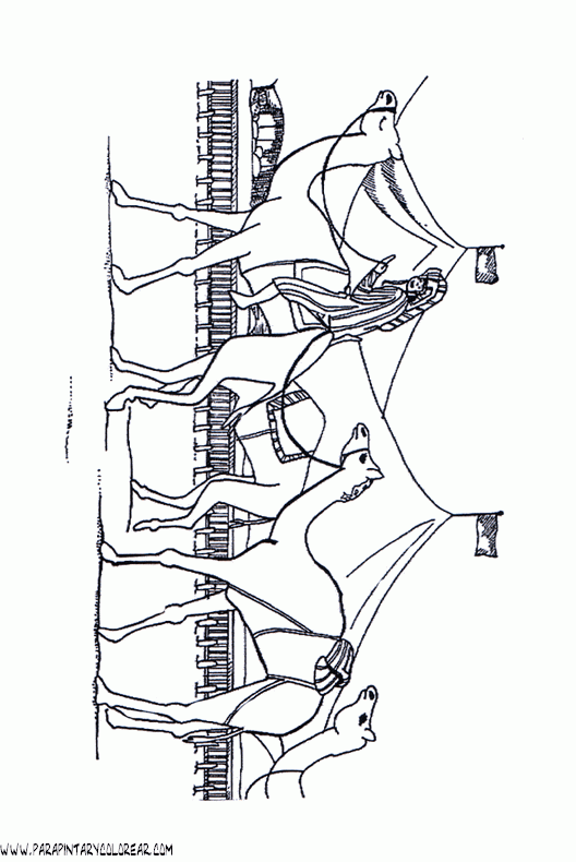 dibujos-de-dromedarios-003.gif