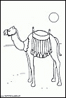 dibujos-de-dromedarios-005.gif