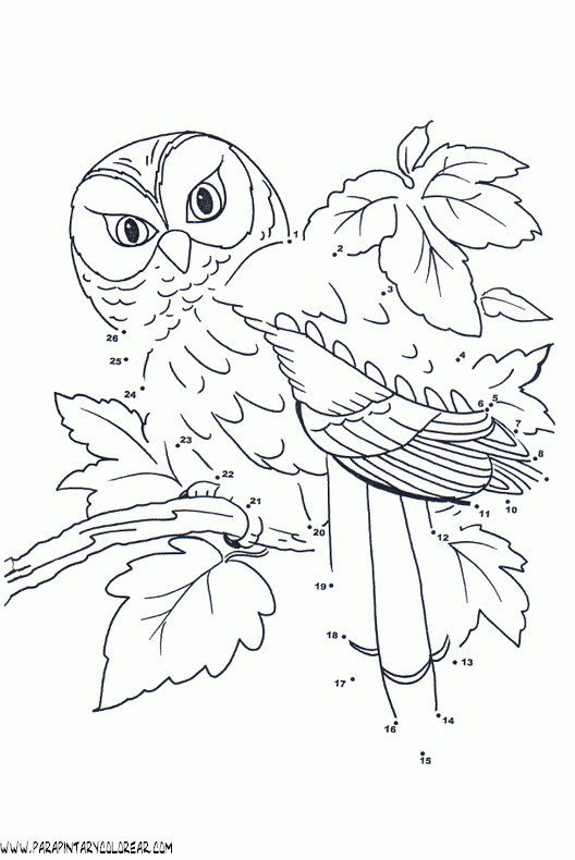 animales-dibujar-uniendo-puntos-numeros-010.gif