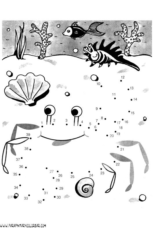 animales-dibujar-uniendo-puntos-numeros-012.gif