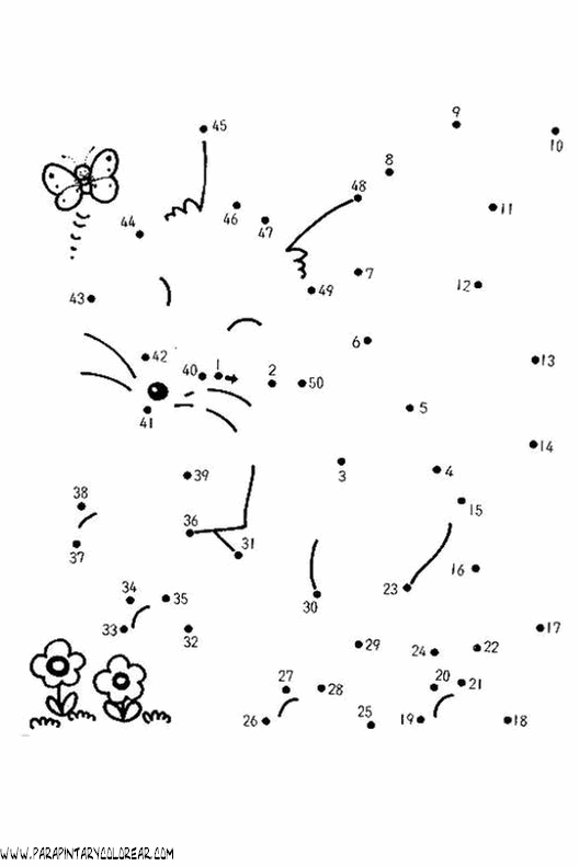 animales-dibujar-uniendo-puntos-numeros-099.gif