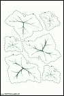 recortables-para-ninos-044.gif