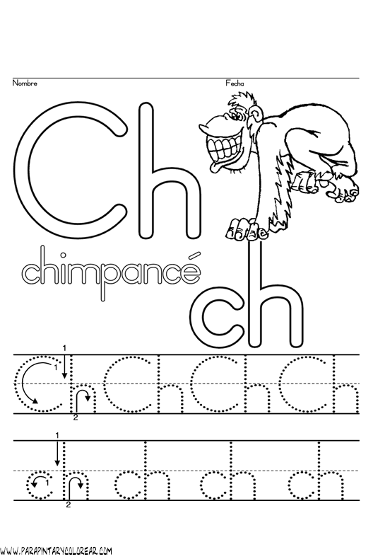 chimpance.gif
