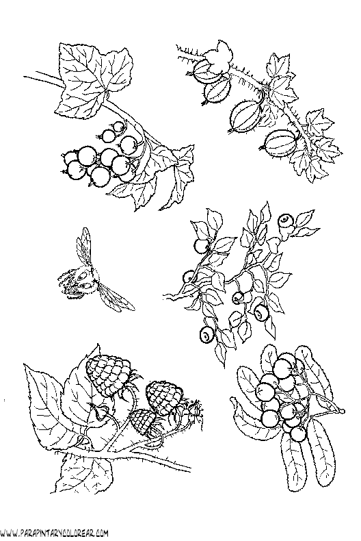 dibujos-de-fruta-008.gif