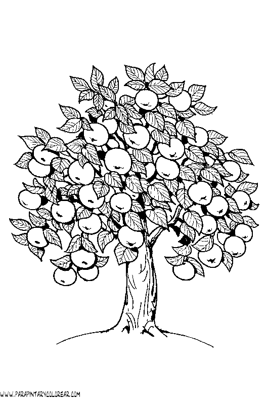 dibujos-de-manzanas-012.gif