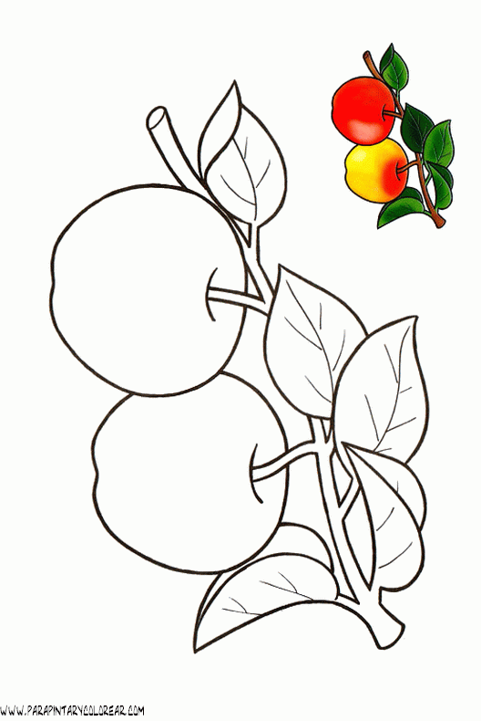 dibujos-de-manzanas-027.gif