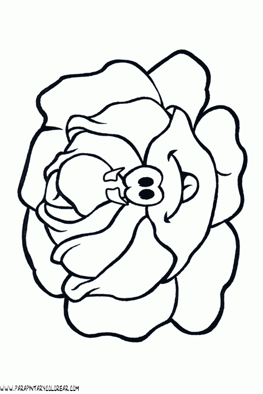 dibujos-de-lechugas-002.gif