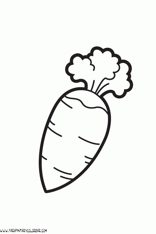 dibujos-para-colorear-de-verduras-zanahorias-001