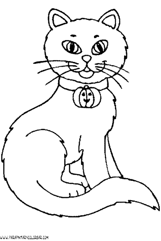 dibujo-de-halloween-gato-002.gif