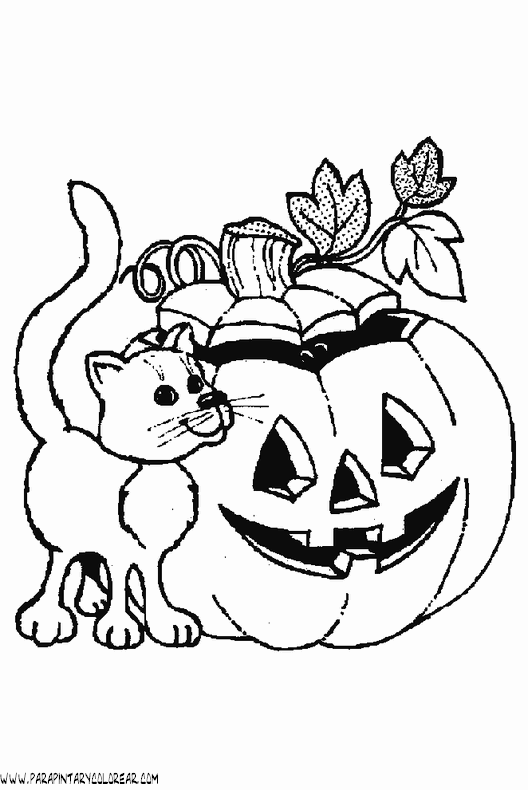 dibujo-de-halloween-gato-020.gif