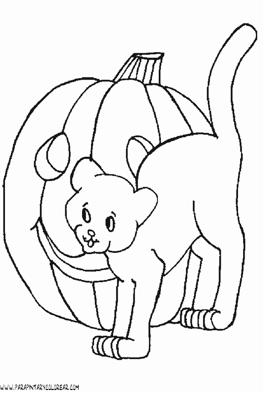 dibujo-de-halloween-gato-021.gif