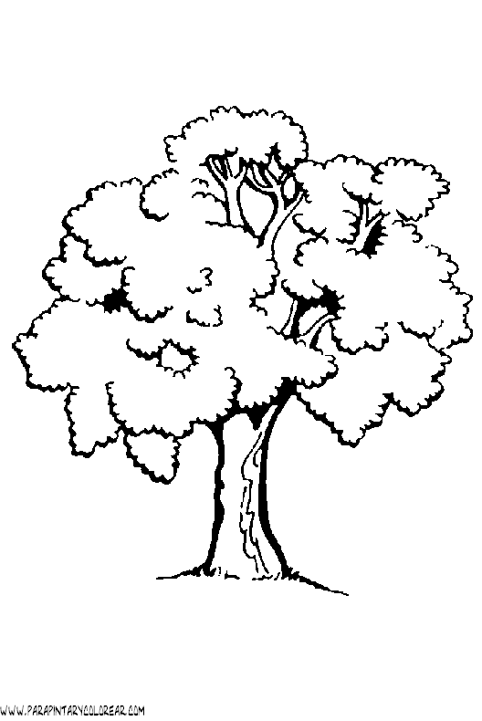 dibujos-de-arboles-para-colorear-004.gif