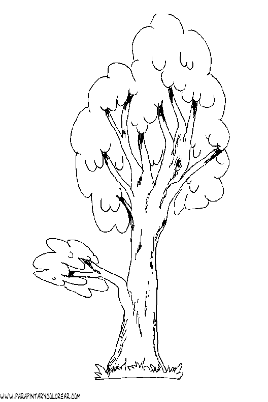 dibujos-de-arboles-para-colorear-011.gif