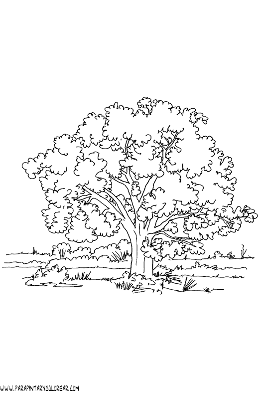 dibujos-de-arboles-para-colorear-017.gif
