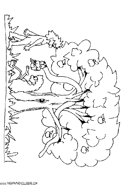 dibujos-de-arboles-para-colorear-033.gif