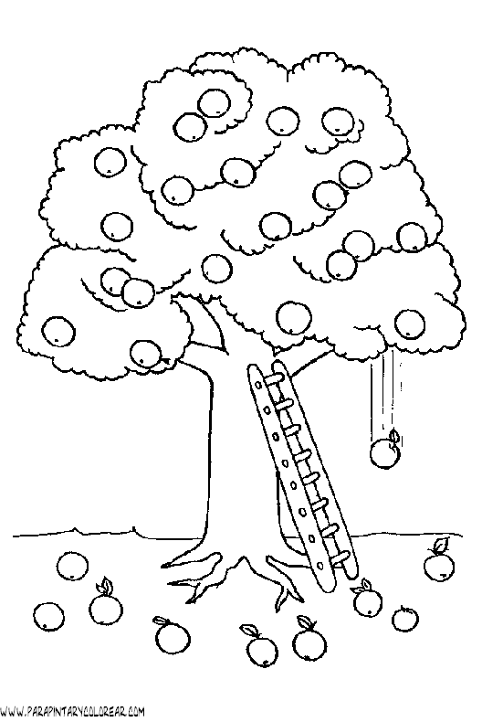 dibujos-de-arboles-para-colorear-035.gif