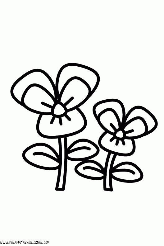 dibujos-para-colorear-de-flores-002.gif