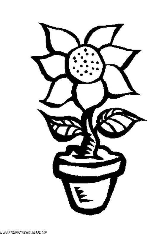 dibujos-para-colorear-de-flores-004.gif